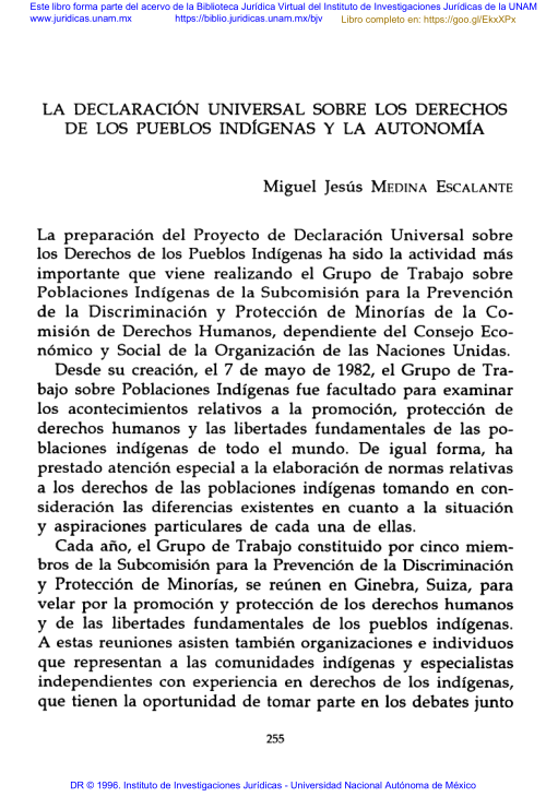 Imagen de La Declaración Universal sobre los Derechos de los Pueblos Indígenas y la Autonomía (propio)