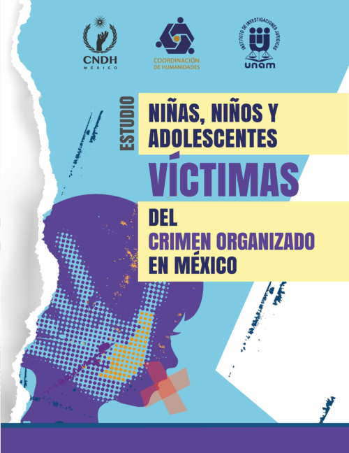 Imagen de Niños, niñas y adolescentes vícitimas del crimen organizado en México (propio)