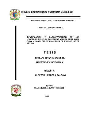 Identificacion y caracterizacion de las litofacies del play paleoceno Wilcox en el area China Barrilete de la cuenca de Burgos; NE de Mexico 